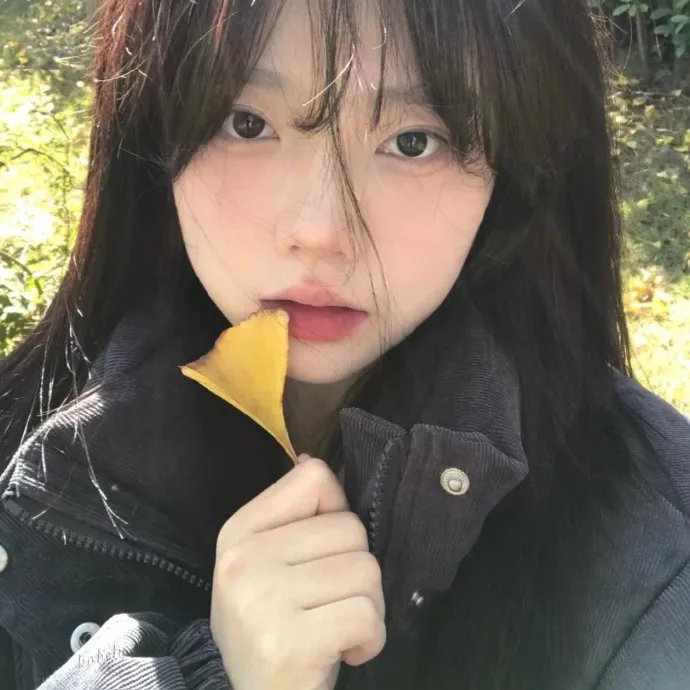 女儿们的恋爱第二季